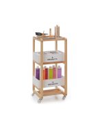 Technical Trolley